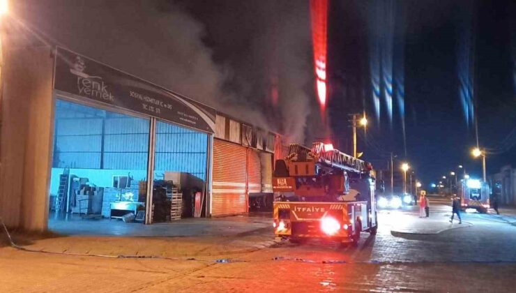 Aydın’daki yangında üç iş yeri zarar gördü