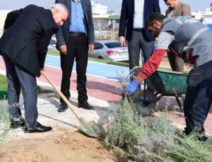 Başkan Çınar, Lavanta bahçelerini inceledi