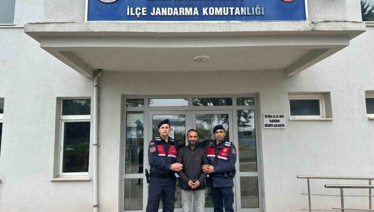 Bursa’da kaçak kazı yapan şüphelilere jandarma baskını: 5 gözaltı