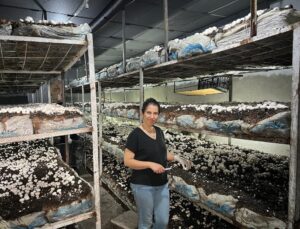 Emetli girişimci kadın kültür mantarı üretiyor