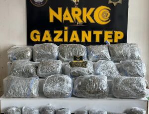 Gaziantep’te 78 kilogram skunk ele geçirildi: 1 şahıs tutuklandı