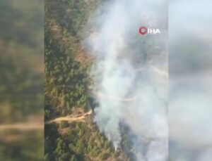 İzmir’de ormanlık alandaki yangın kontrol altında