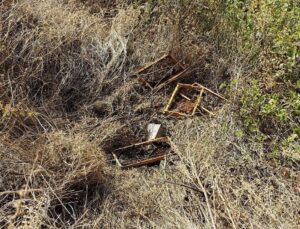 Kastamonu’da bağ evine gelen ayılar, 10 adet arı kovanını parçalayarak balları yedi