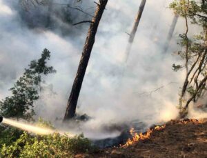 Köyceğiz Otmanlar’da dört gün içinde ikinci orman yangını