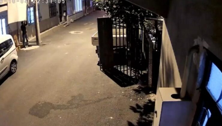 Pes dedirten hırsızlık kamerada…Balkona asılı halıyı böyle çaldı