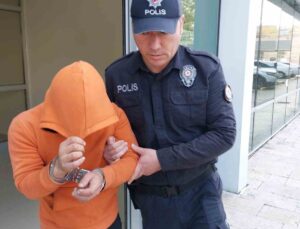 Samsun’da iki evden hırsızlık yapan şahıs tutuklandı
