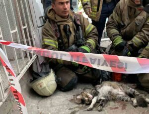Şişli’de yangında mahsur kalan kedi itfaiye ekiplerince kurtarıldı