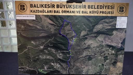 Türkiye’nin en büyük bal ormanı Kazdağları’nda olacak