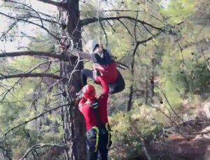 Yabancı uyruklu paraşütçü ağaçta asılı kaldı