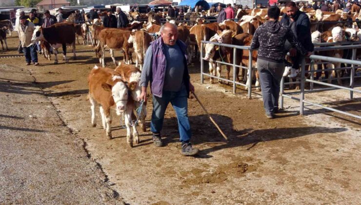 Yasakların ardından Yozgat’ta hayvan pazarlarında yoğunluk sürüyor
