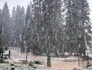 Bartın ve Zonguldak’ta mevsimin ilk kar yağışı başladı