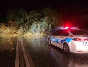 Edirne’de etkili olan sağanak ve fırtına ağaç devirdi, yol trafiğe kapandı