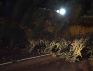 Fırtına Bursa’yı yıktı geçti…Otobüsün üzerine uçan çatı 2 yolcuyu yaraladı