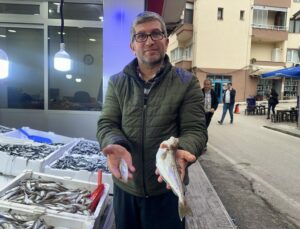 Karadeniz’de 300 gramlık mezgit yakalandı