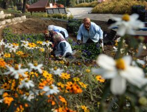 Osmangazi Belediyesi ilçeyi çiçek bahçesine çeviriyor