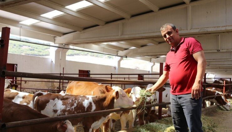 TKDK desteğiyle köyünde süt üretim çiftliği kurdu