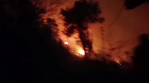 Trabzon’da şiddetli fırtına sonra çıkan yangınlar devam ediyor