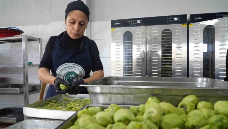 Altınova’nın kadınları üretimle güçleniyor