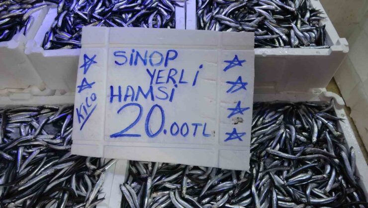Balıkçı tezgahlarında hamsi bolluğu: Fiyatı 20 TL