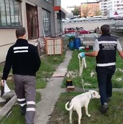 İstanbul’da köpeğe şiddet uygulayan şahsa 4 bin 554 TL para cezası