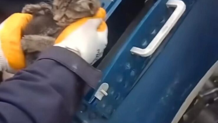 Kaputa giren kediyi itfaiye ekipleri kurtardı