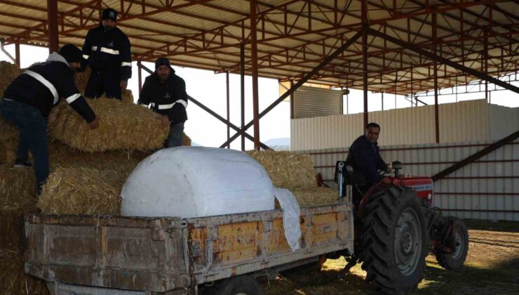 Şehzadeler Belediyesi tarım projesi ile üreticinin elini güçlendirdi