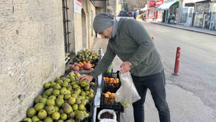 Sinop’ta kış armudunun kilosu 50 liradan satılıyor