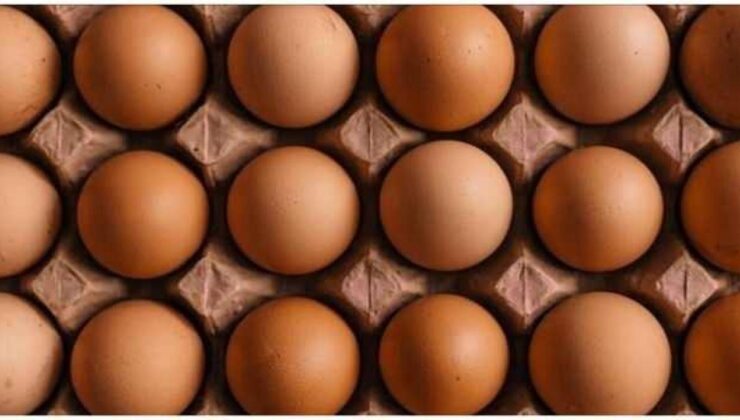 Rusya, Türkiye’den 1,5 milyon adet yumurta ithal etti