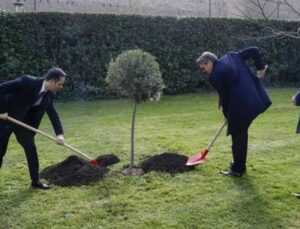 6 Şubat sarsıntılarında hayatını kaybedenler anısına Vatikan Bahçeleri’ne ağaç dikildi