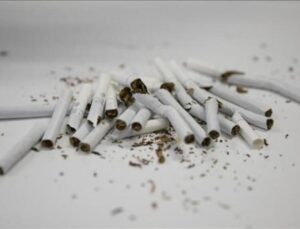Kanserlerin yüzde 30’u sigara kaynaklı