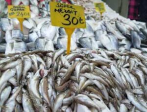 Kilosu 30 TL’ye satılan balıklara ilgi yok denecek kadar az