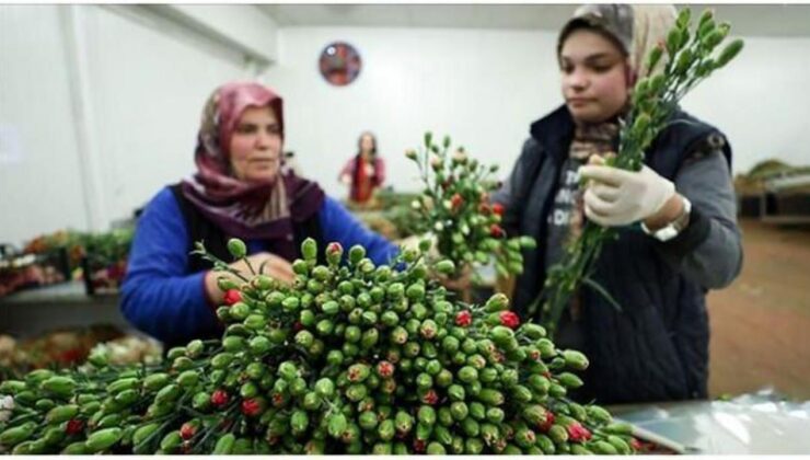 Türkiye’den 7 milyon dolarlık çiçek ihracatı!