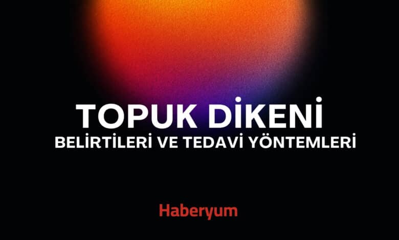 Topuk Dikeni