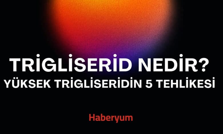 Trigliserid Nedir