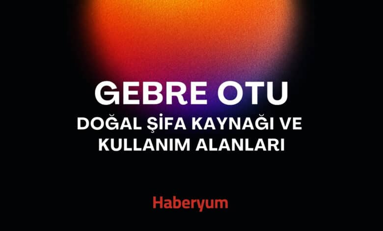 gebre otu
