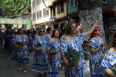 Muazzam Bir Kültürel ve Lezzet Dolu Etkinlik: Tirilye Zeytin Çiçeği Festivali