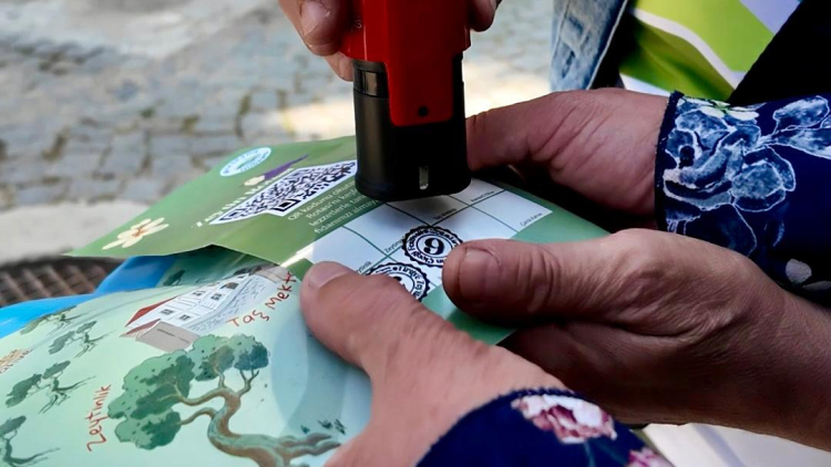 Tirilye Zeytin Çiçeği Festivali ile Zeytinin ve Tarihin Buluşması