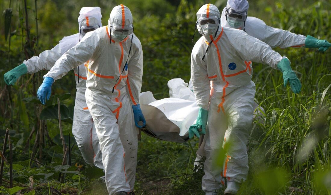 Afrika'da Ebola alarmı uluslararası sağlık kurumlarını harekete geçirdi, salgın riskine