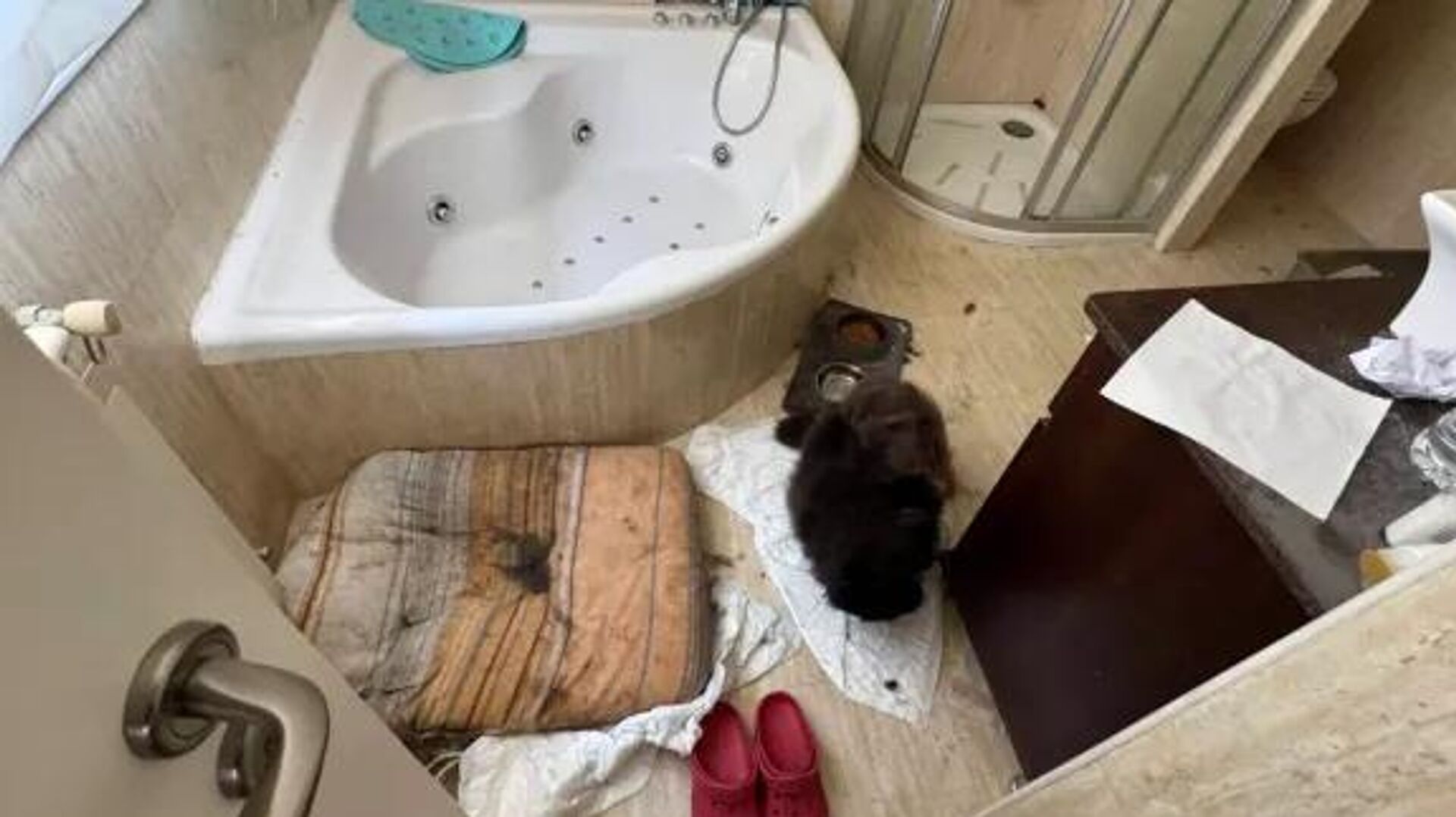 Alman Aile Çocuklarına Zorbalık ve İstismardan Mahkûm Oldu