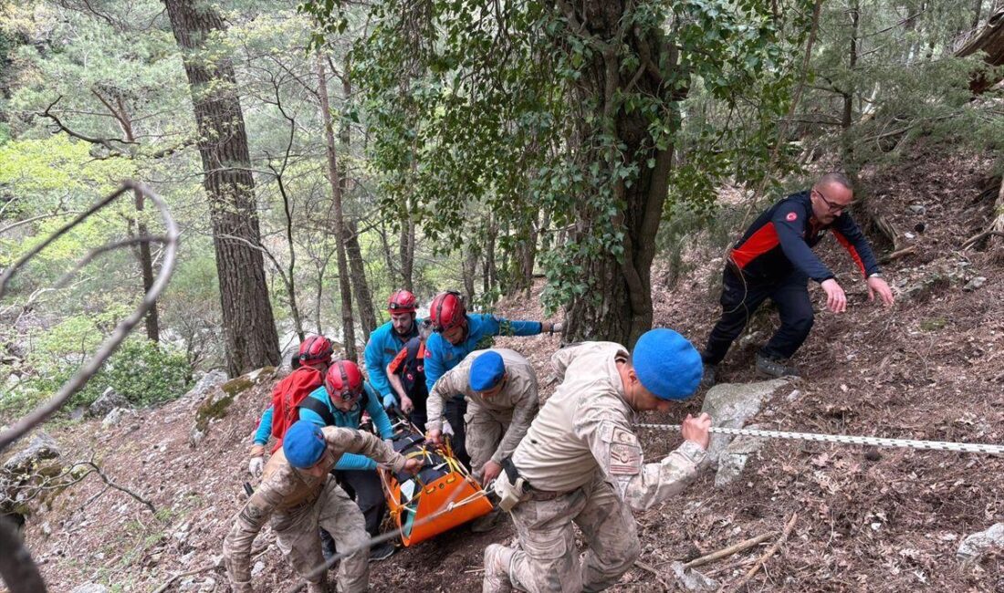 Balıkesir Edremit'te kayıp yaşlı erkek ölü bulundu. Olayla ilgili detaylar