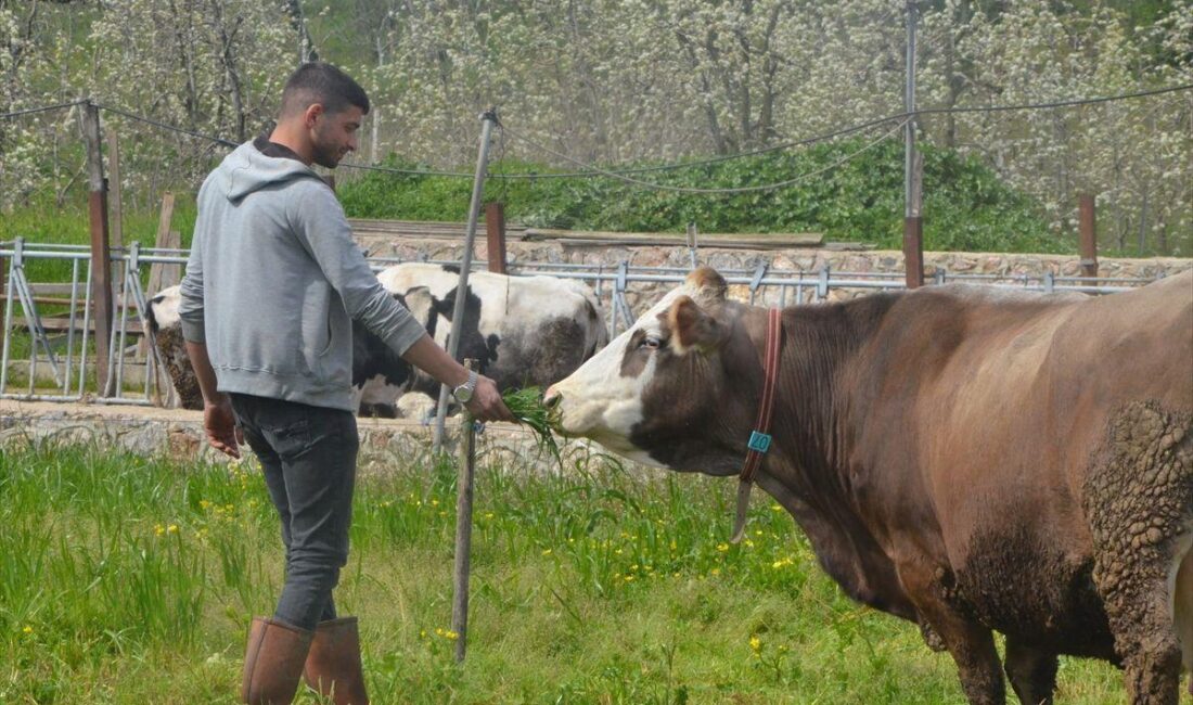 Bursa İnegöl'de genç çiftlik sahibi Çolak hakkında detaylar, başarı hikayesi