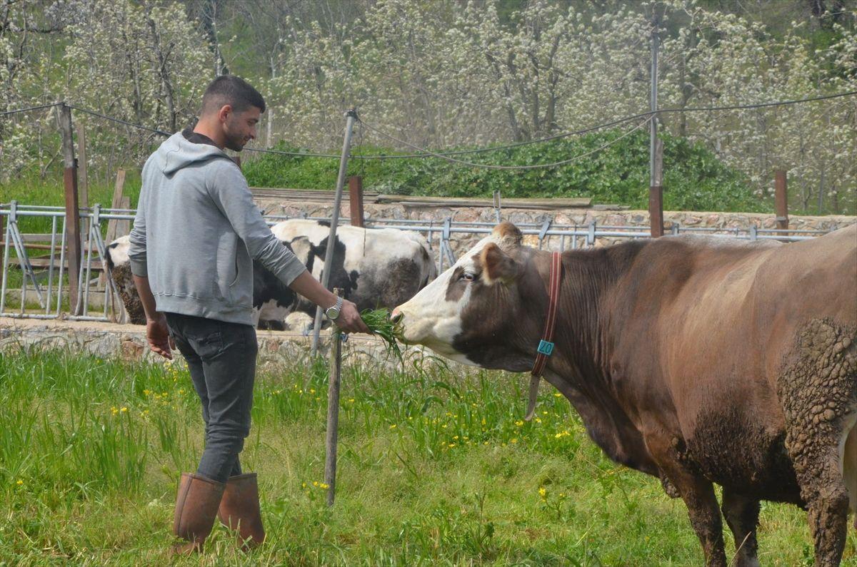 Bursa İnegöl'de genç çiftlik sahibi Çolak hakkında detaylar, başarı hikayesi