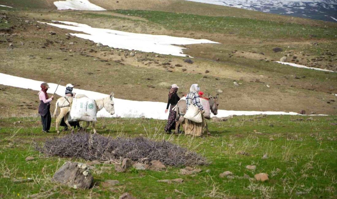 Bursa'da doğal güzellikler ve gelişmeler hakkında detaylı bilgiler, tarihi ve