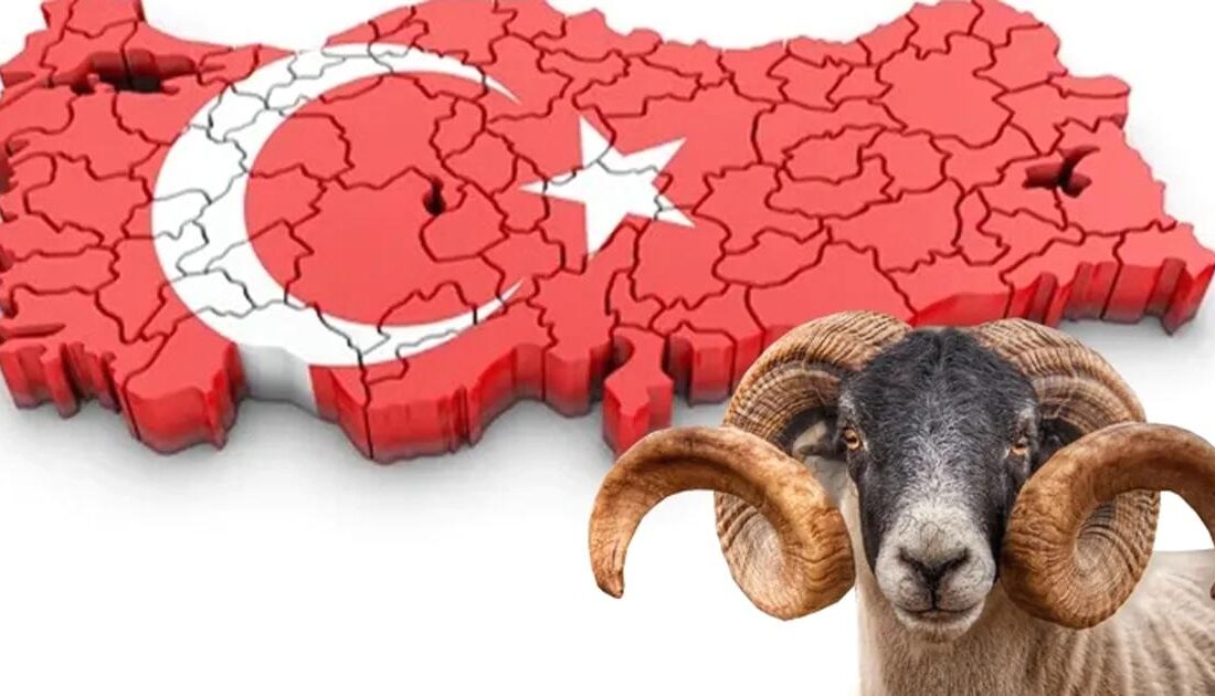 Bursa'daki güncel ekonomik gelişmeler ve siyaset olaylarını kapsamlı ve resmi
