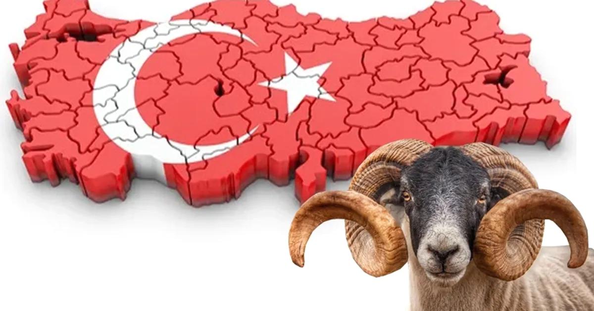 Bursa'daki güncel ekonomik gelişmeler ve siyaset olaylarını kapsamlı ve resmi
