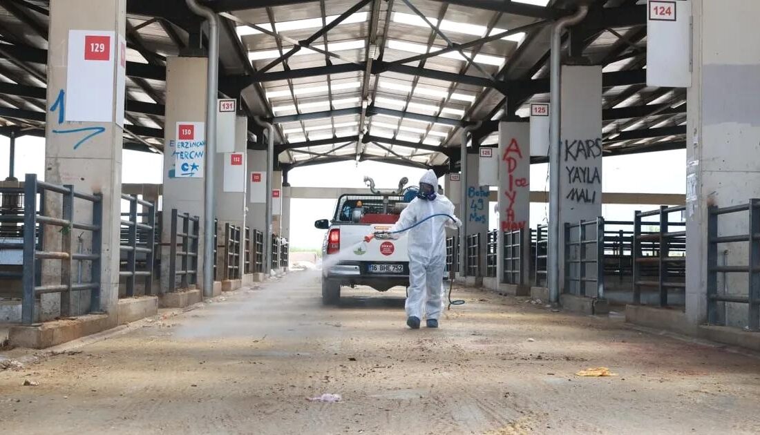 Bursa'da Kurban Pazarları kapsamlı temizlik ve dezenfekte edilerek, hijyenik ve