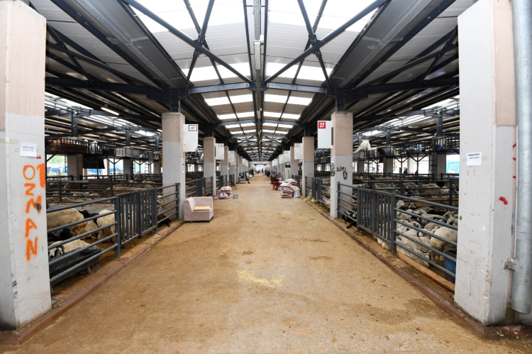 Bursa'da Kurbanlık Satış ve Kesim Alanları Genişledi