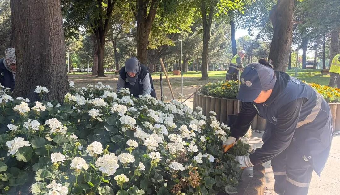 Bursa'da park ve yeşil alan bakım hizmetleriyle temiz ve düzenli
