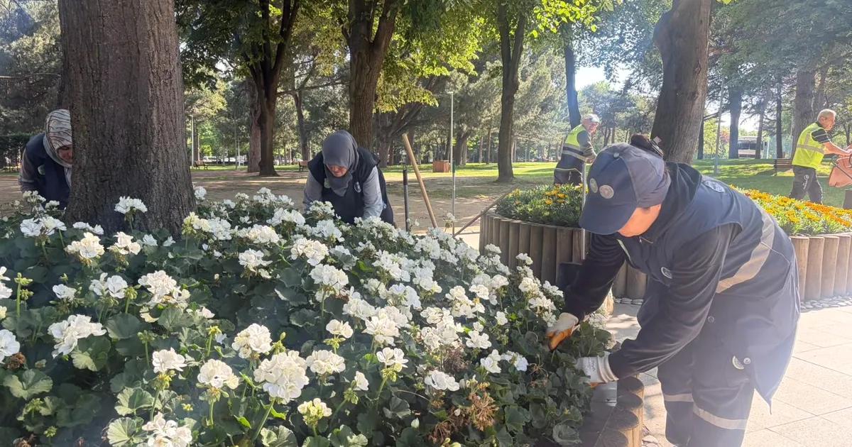 Bursa'da park ve yeşil alan bakım hizmetleriyle temiz ve düzenli
