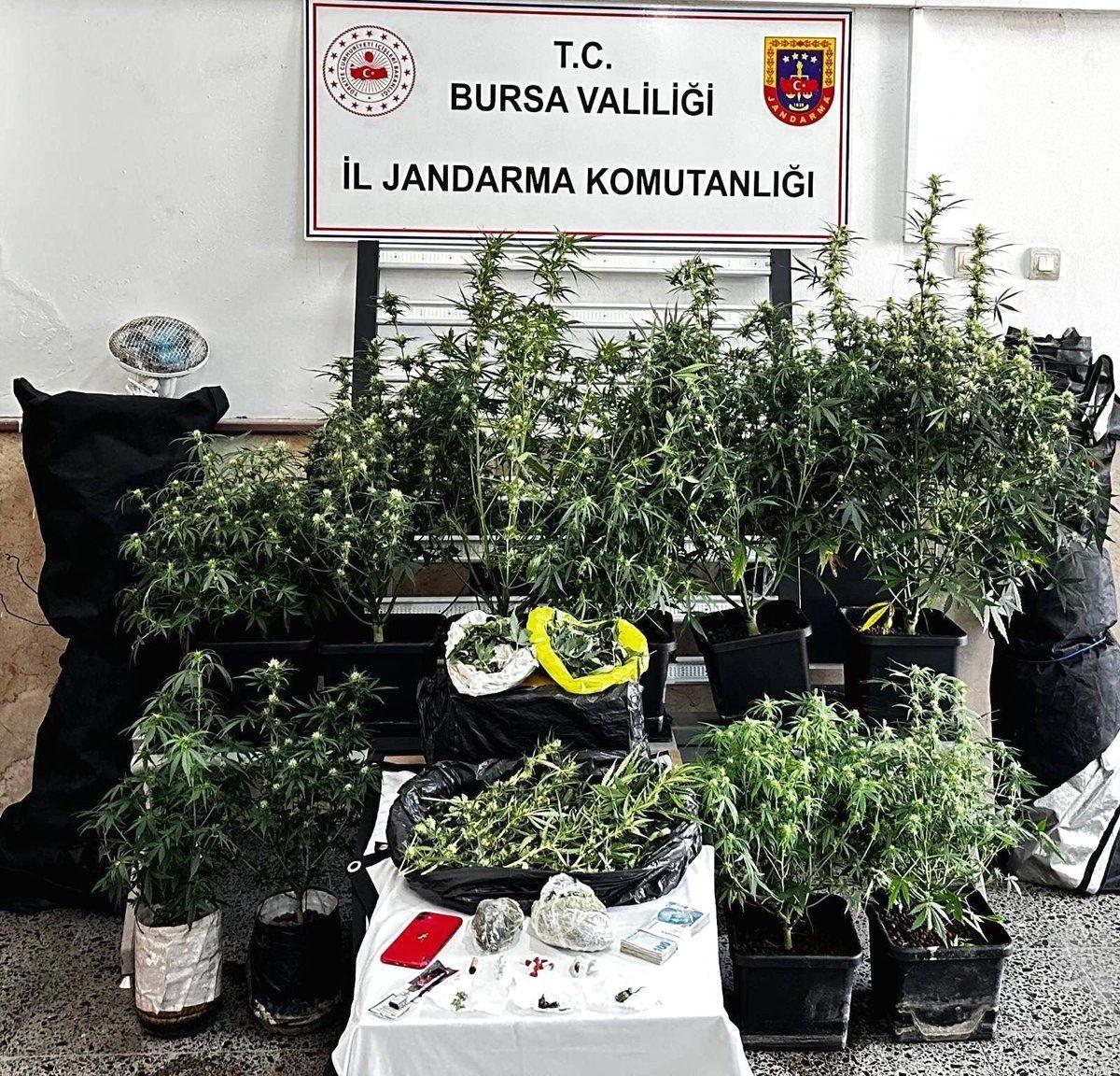 Bursa'da gerçekleşen uyuşturucu operasyonunun detayları, polis çalışmalarını ve suçla mücadele